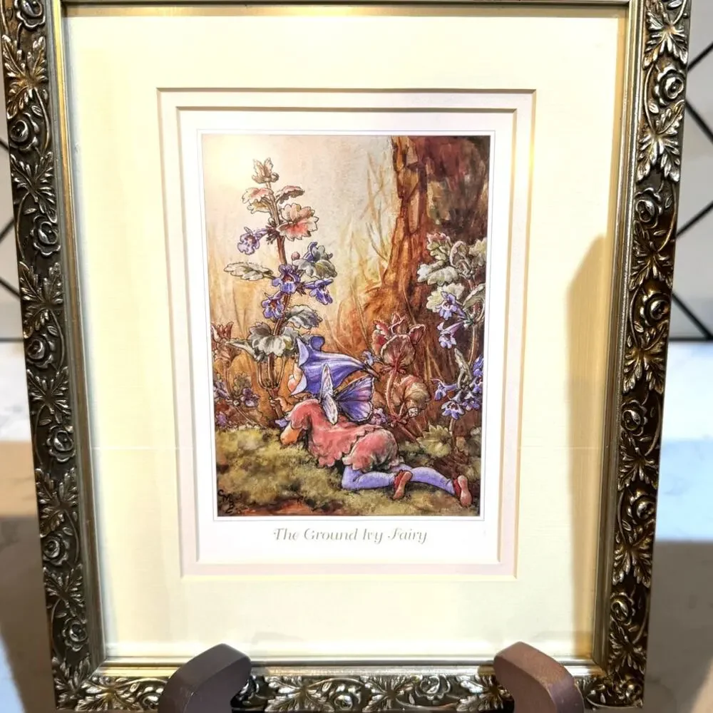 Framed art prints Flower Fairies by Cicely Mary Barke x3 silver pewter whimsical - Picture 3 of 7